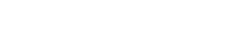 CaseyArms